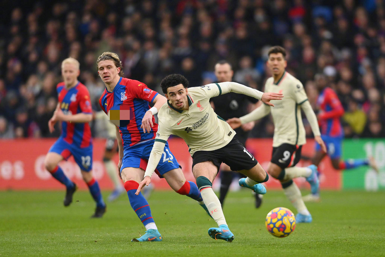 将在一个充 将在一个充