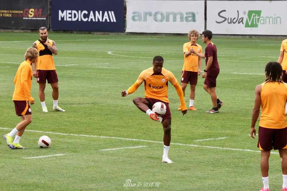 磨合阵容的 磨合阵容的